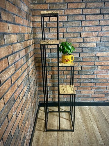 Kwietnik zagrzybiony buk 1