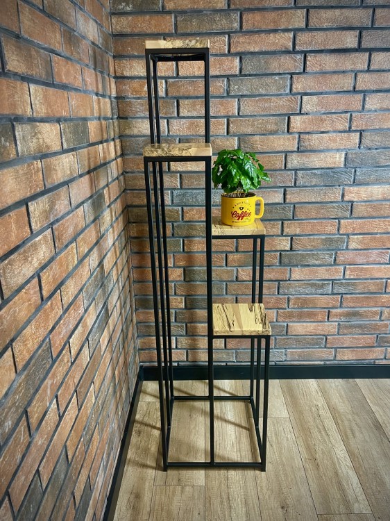 Kwietnik zagrzybiony buk 1